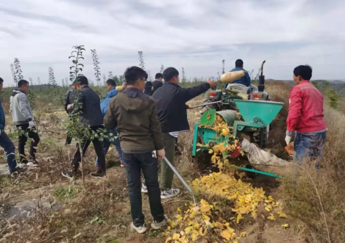 151636962320786954.png 微信图片_20211115154455.png