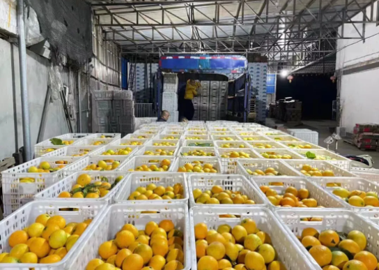 151636963635290654.png 微信图片_20211115160650.png