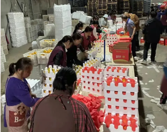 151636963643860417.png 微信图片_20211115160703.png