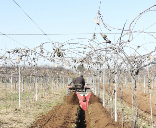 171637135764522902.png 微信图片_20211117155550.png