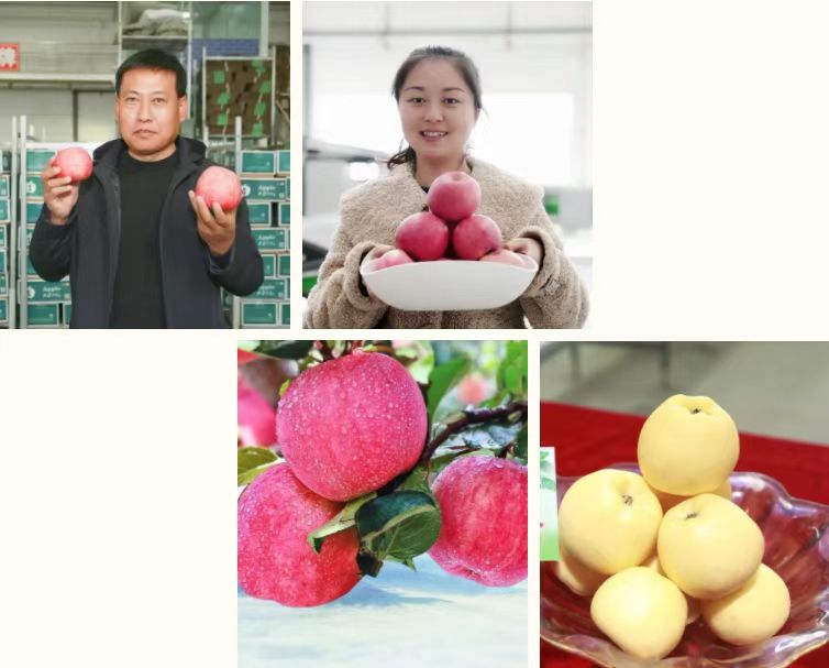 291638173932554817.jpeg 微信图片_20211129161827.jpg