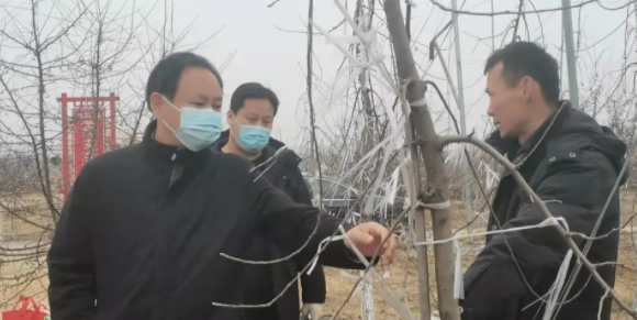 081644303739731979.png 微信图片_20220208150154.png