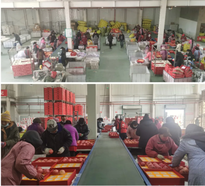 081644305695368166.png 微信图片_20220208153419.png