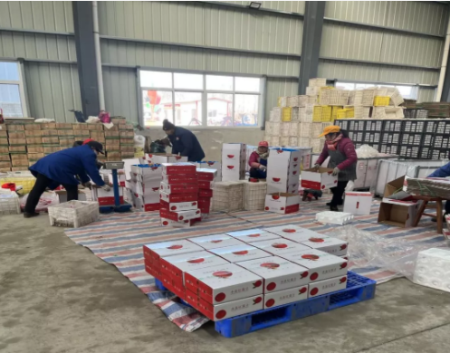 141644827605940091.png 微信图片_20220214163301.png