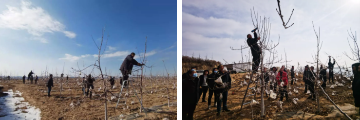 181645147208688384.png 微信图片_20220218092006.png