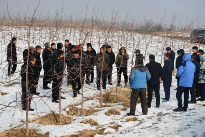 181645147360115974.png 微信图片_20220218092243.png