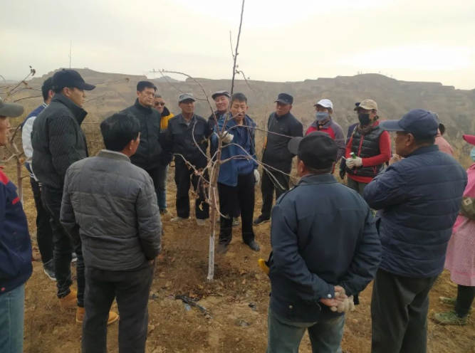 161647418536382682.png 微信图片_20220316161530.png