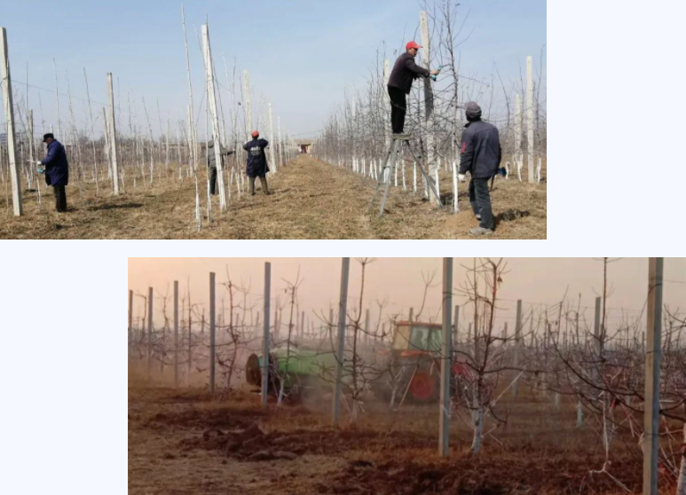 171647500588919133.png 微信图片_20220317150257.png