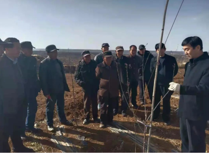 171647501256275254.png 微信图片_20220317151358.png