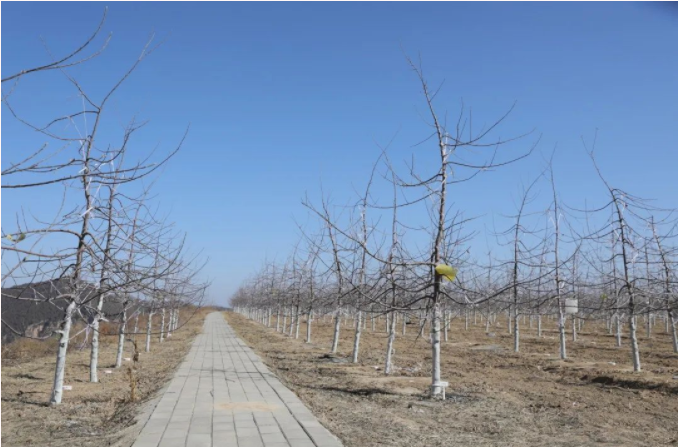 171647501767577122.png 微信图片_20220317152212.png