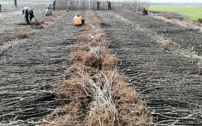 251648175444206627.png 微信图片_20220325102850.png