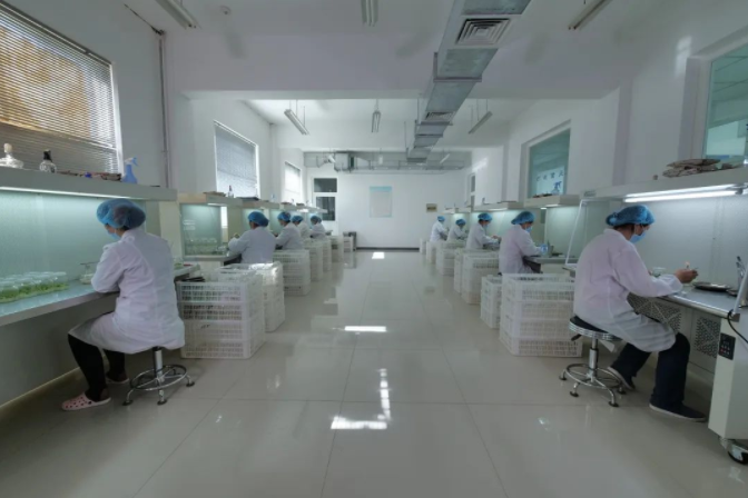 251648175455354573.png 微信图片_20220325102903.png