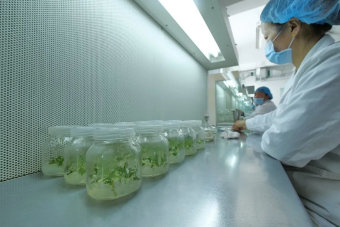 251648175464634814.png 微信图片_20220325102920.png