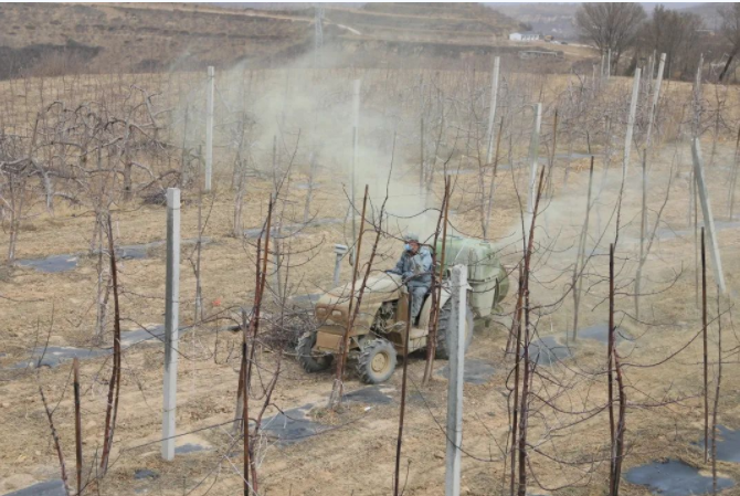 251648176067224267.png 微信图片_20220325104057.png