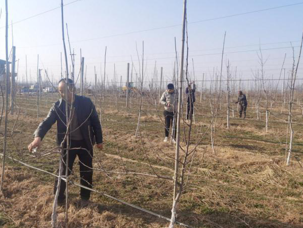 251648176314417059.png 微信图片_20220325104401.png