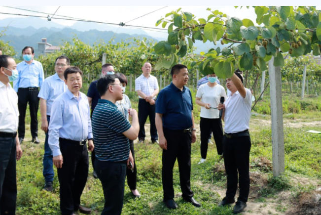 031659517714374879.png 22.png