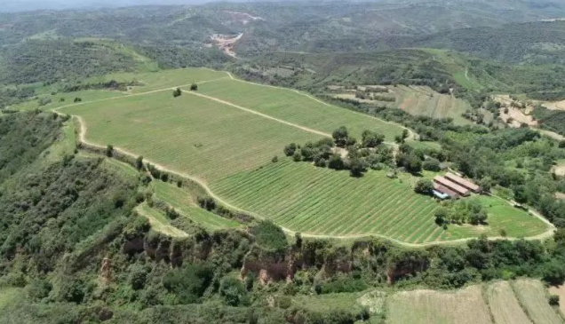 011662017734170105.png 微信图片_20220901154559.png