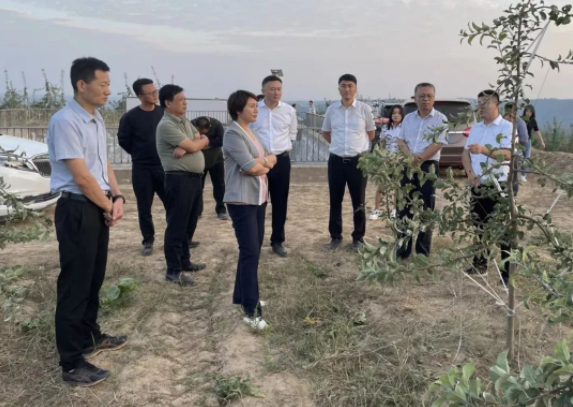 201663634125929413.png 111.png