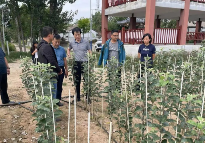 121665562267775793.png 微信图片_20221012162252.png