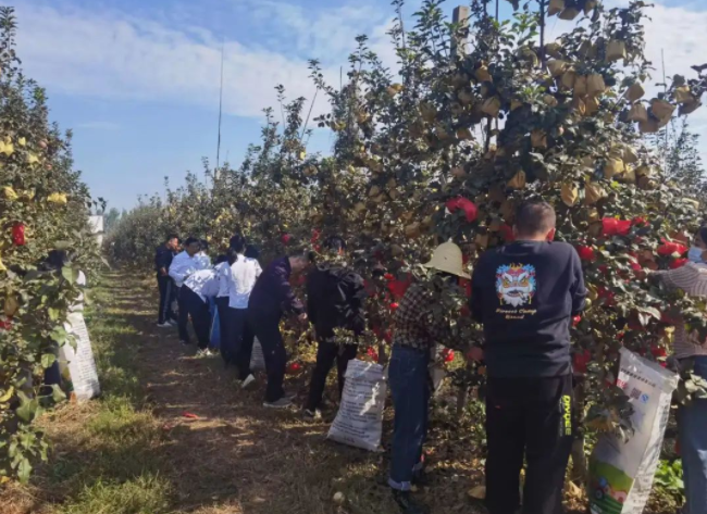 121665562667833058.png 微信图片_20221012162925.png