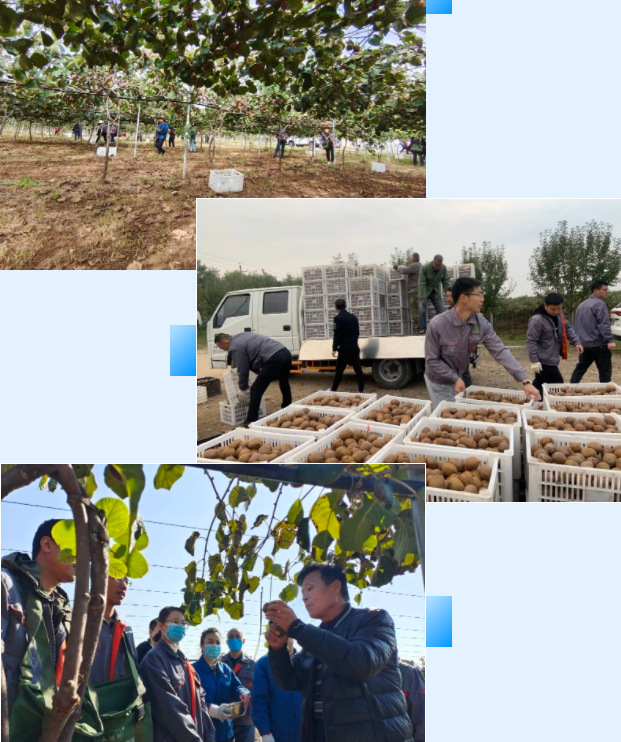 141665707619640061.png 微信图片_20221014084542.png