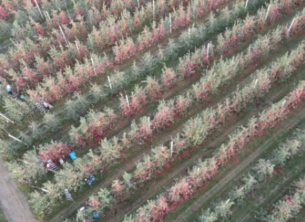 141665707734713821.png 微信图片_20221014084733.png