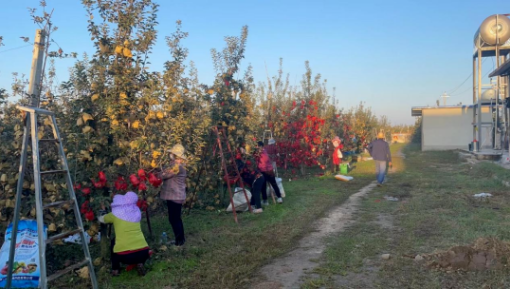 141665707742326117.png 微信图片_20221014084748.png