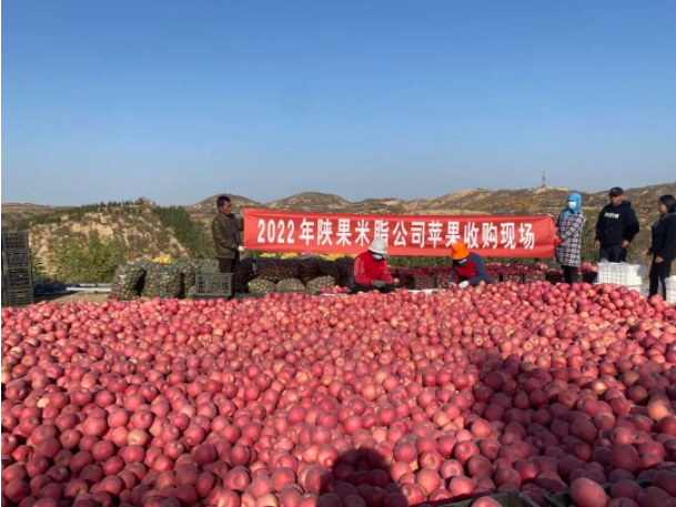 011667272640243936.png 微信图片_20221101113118.png