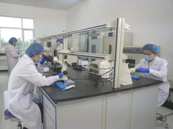 011667289546576625.png 微信图片_20221101161209.png