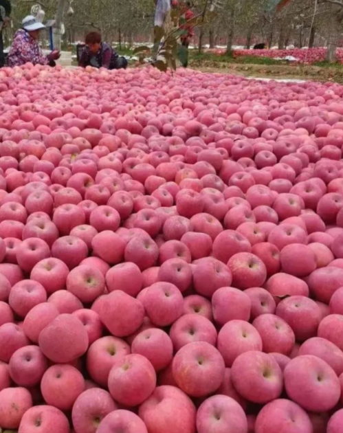 011667289816269971.png 微信图片_20221101161433.png