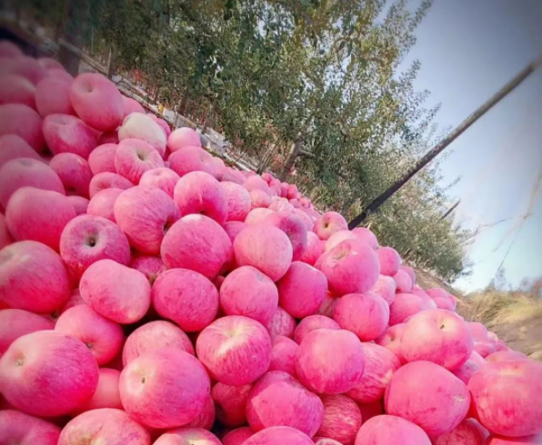 011667289823660243.png 微信图片_20221101161451.png