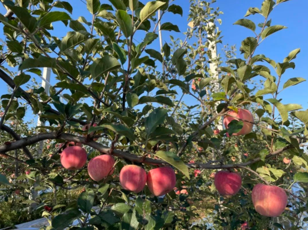 011667290816175792.png 微信图片_20221101163220.png