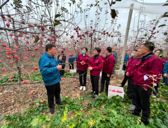 041667528467129509.png 2.png