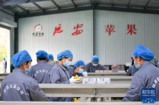 041667528831270882.png 2.png