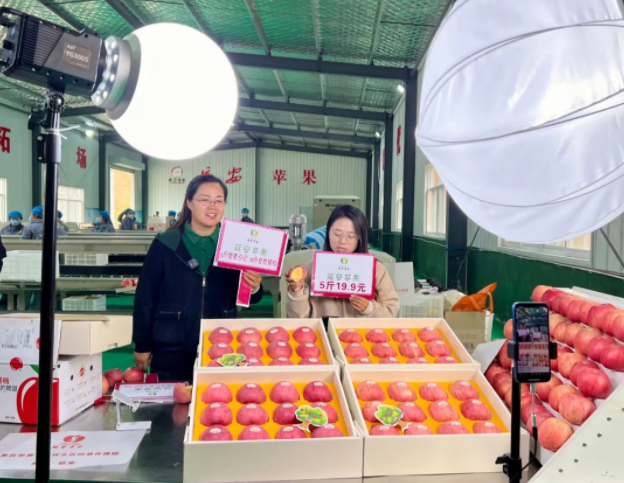 041667528849881733.png 4.png