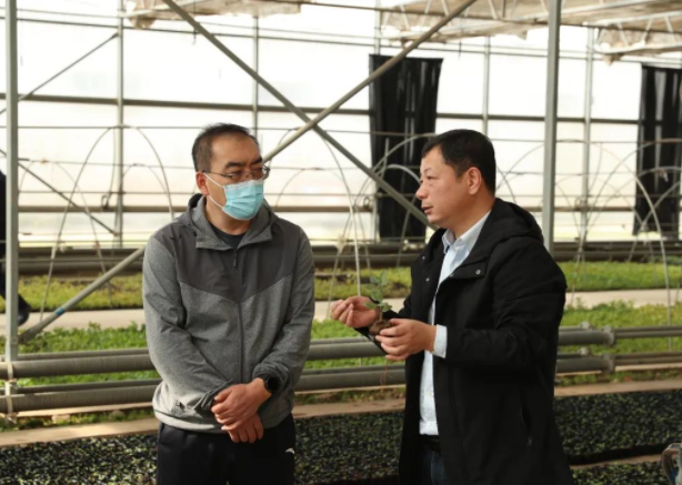 281669617539850177.png 微信图片_20221128145511.png