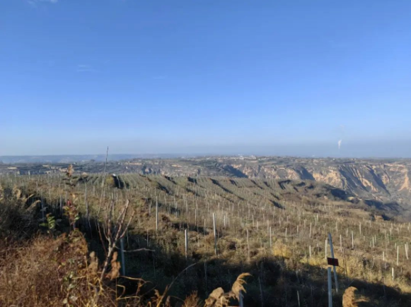 281669618087716263.png 微信图片_20221128150420.png