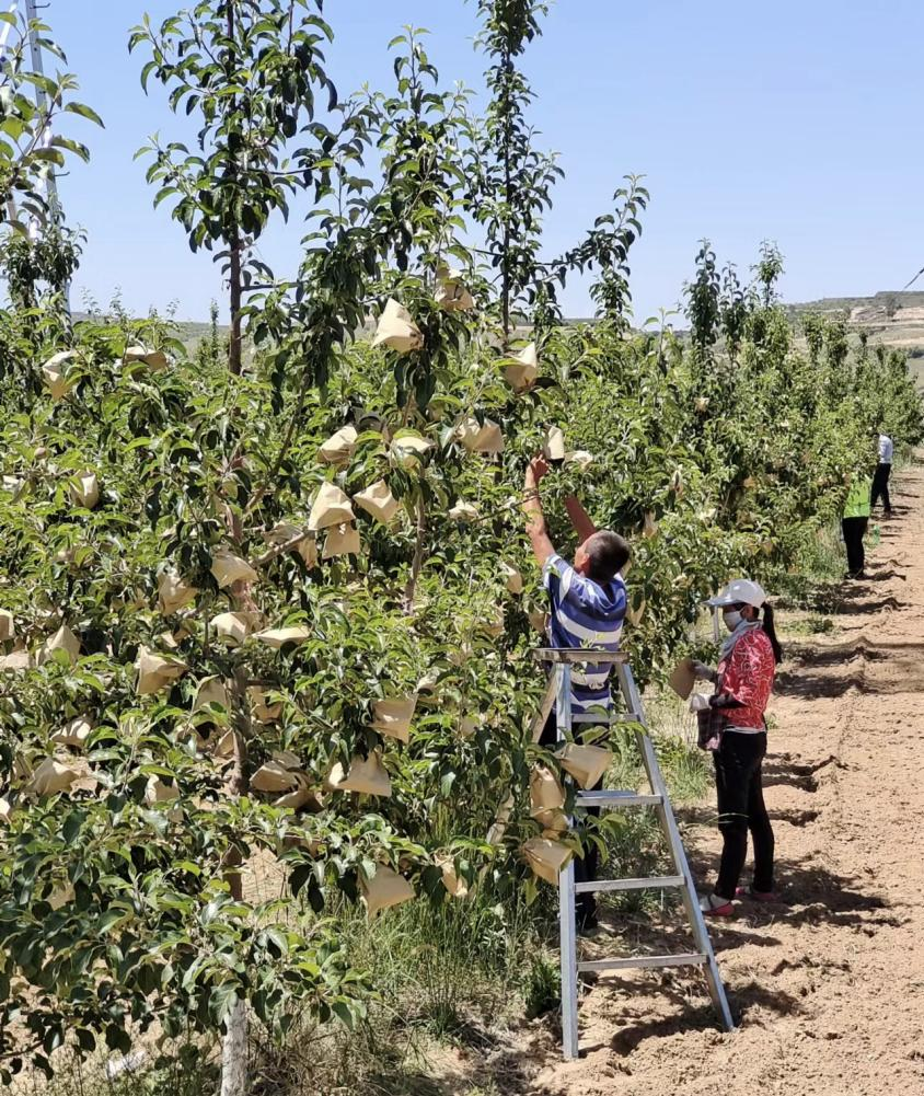 271687856607977021.png 图片2.png