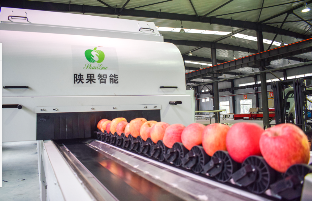 071688693119183276.png 071688693119183276.png