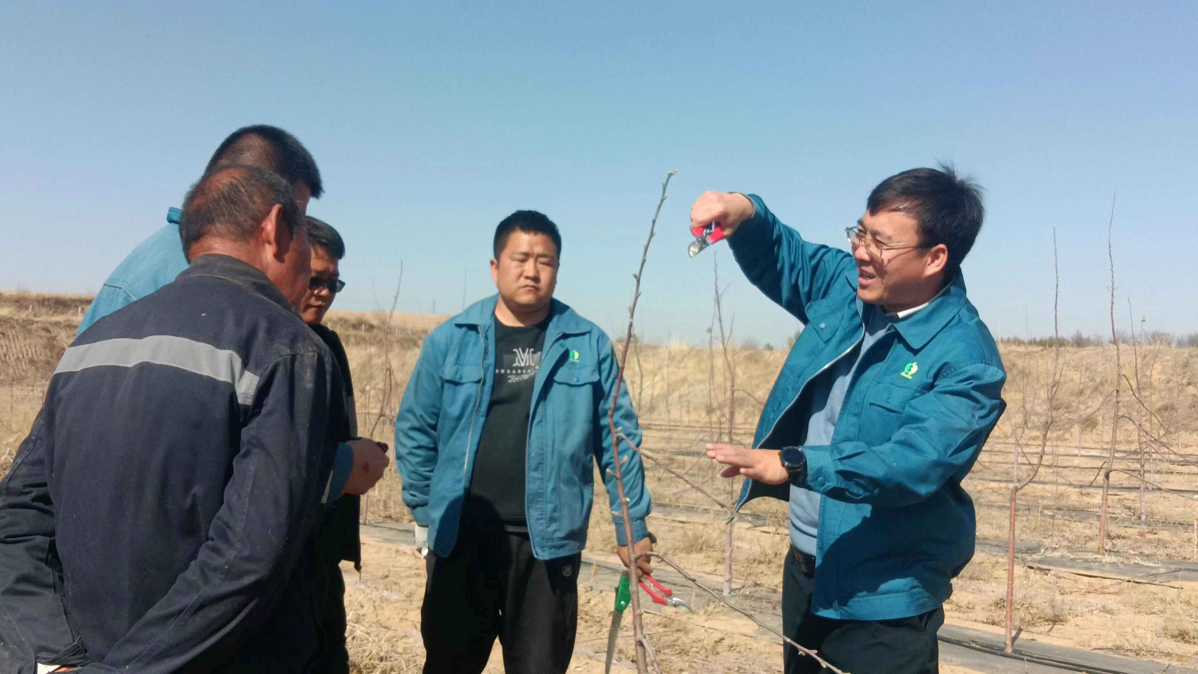 261690336201359683.jpeg 261690336201359683.jpeg